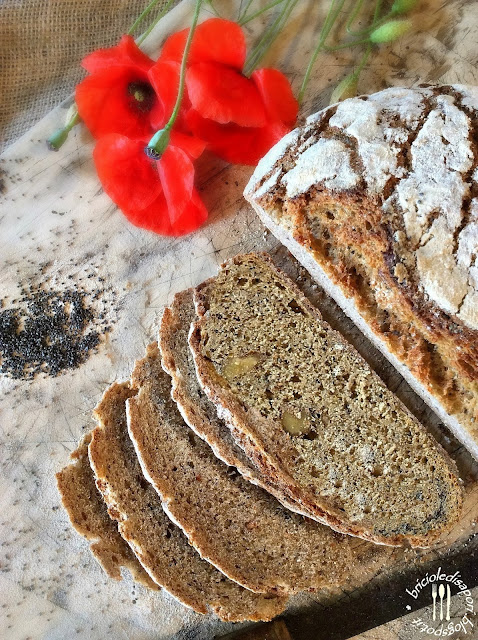 pane con farina d'orzo noci e semi di papavero pane fatto in casa rapido