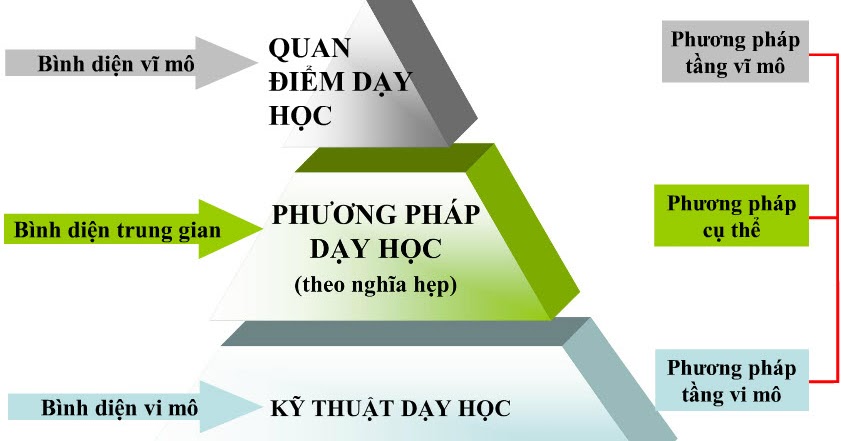 Lấy người học làm trung tâm trong đào tạo nâng cao năng lực cho các  THTHTX thuộc Chương trình FFF