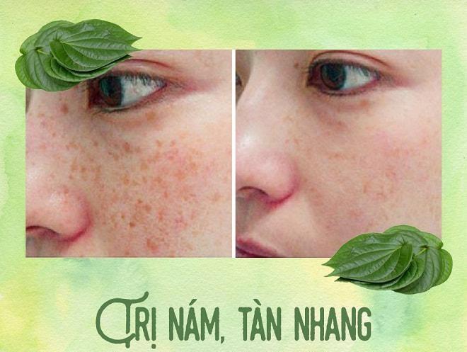 công dụng làm đẹp hiệu quả từ trầu cong-dung-lam-dep-hieu-qua-tu-trau