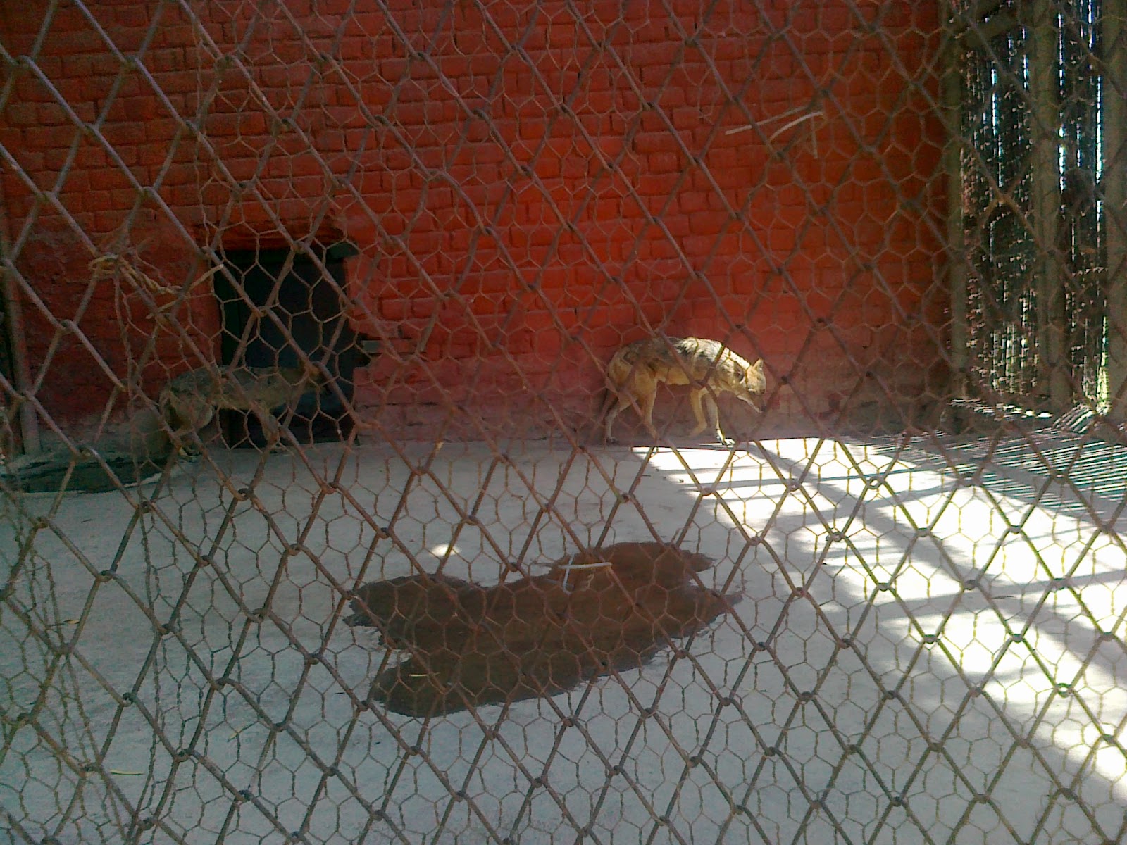 Tilyar lake Rohtak Photos Mini Zoo Photos Rohtak Tilyar Lake Images