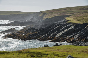 Mistaken Point, southern Newfoundland