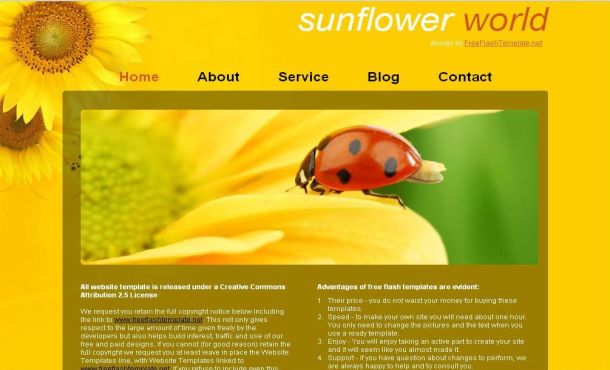 Brown Yellow SunFlowers CSS Website Template