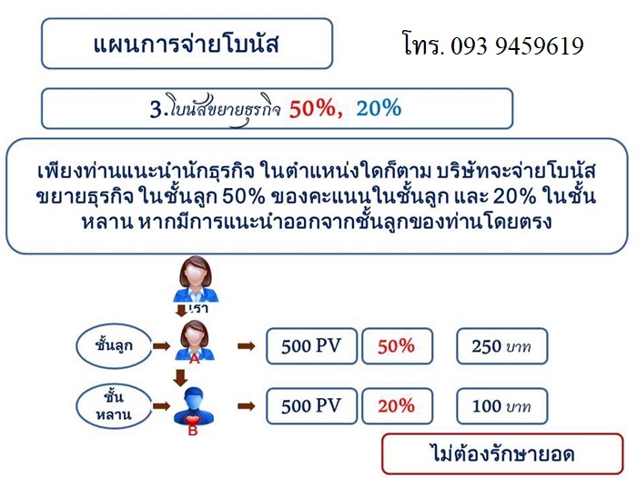 แผนการจ่ายผลตอบแทน สมุนไพรเอ็นยืด