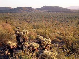 Reserva de la Biosfera El Pinacate y Gran Desierto de Altar