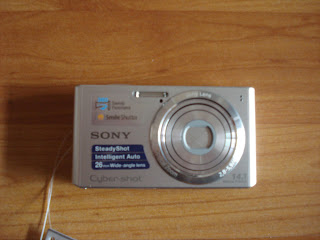 Sony Cyber-Shot DSC-W610 compact digital camera