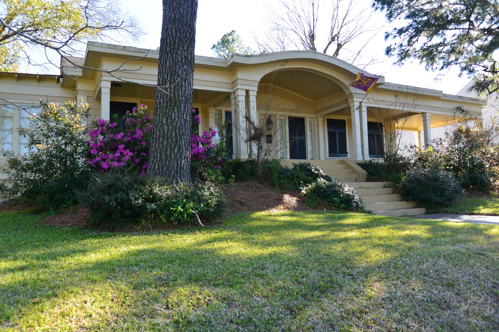 Describe your new house essay image