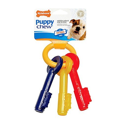 Just For Teething Retrievers! 5 Best Puppy Chew Toys