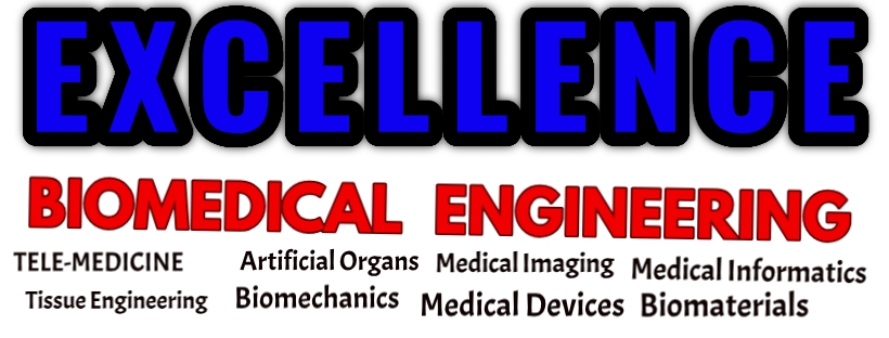 EXCELLENCE BIOMEDICAL ENGINEERING