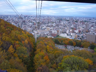 Ropeway cables, Mt. Moiwa and Sapporo city as seen from the Mount Moiwa ropeway