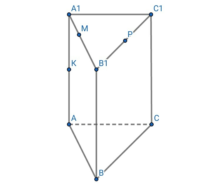 высота правильной призмы mpkm1p1k1 равна 12. в правильной треугольной призме авса1в1с1. периметр основания прямой призмы. сечение призмы плоскостью периметр. сечение правильной треугольной призмы.