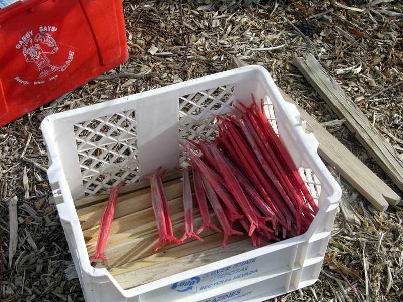 Xtremehorticulture of the Desert Use Limb Spreaders on Fruit Trees Now