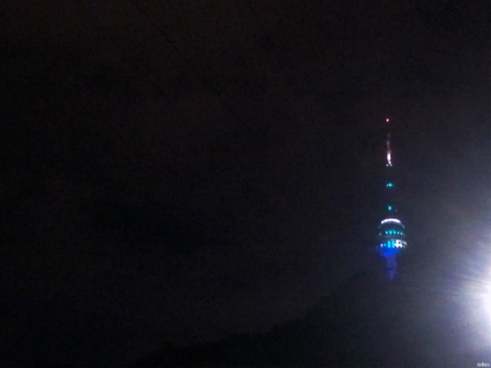 Seoul, Korea - Summer Study Abroad 2014 - Namsan N Seoul Tower at night