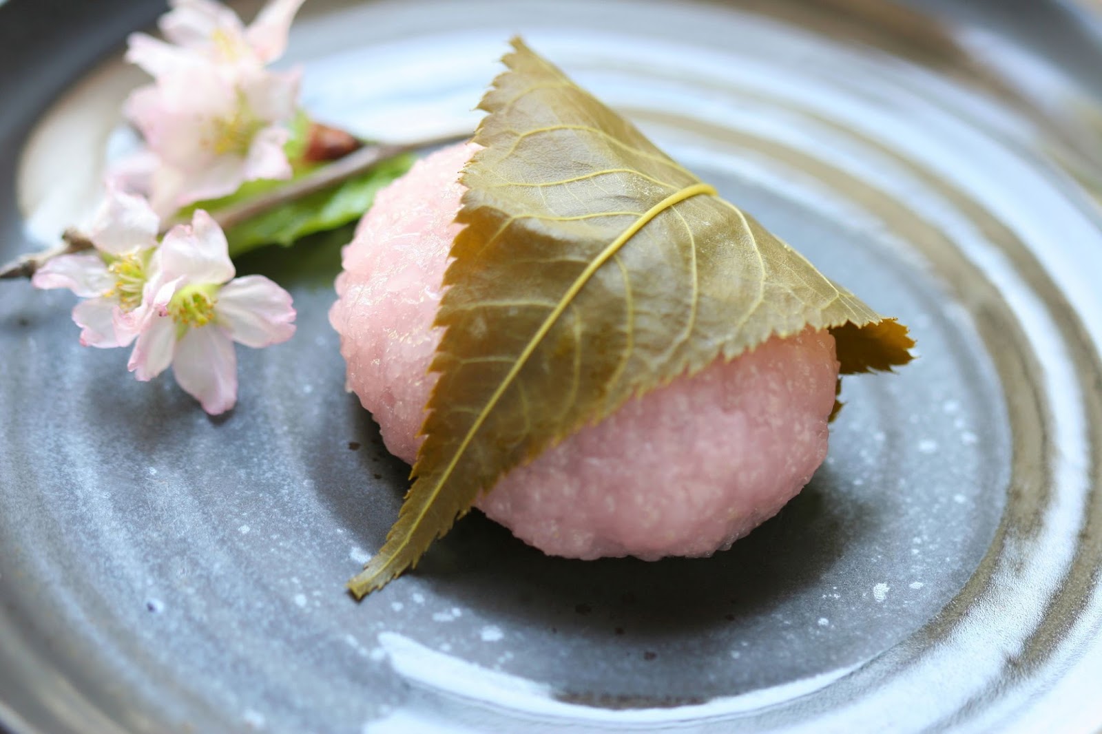 Sakura Mochi Sakura Mochi