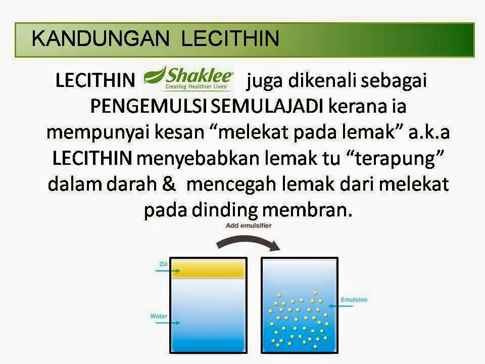 APA ITU LECITHIN DAN KEISTIMEWAAN LECITHIN SHAKLEE Sihat & Cantik
