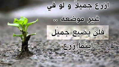 اقوال وحكم اقوال وحكم