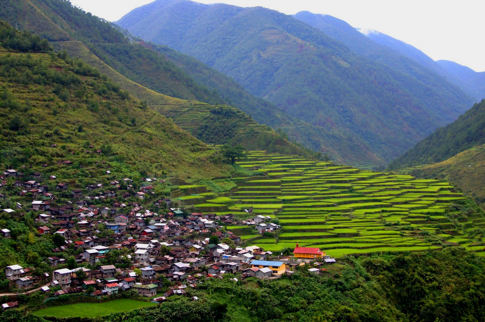 World Tour's & Travel: Ifugao, another National Cultural Treasure