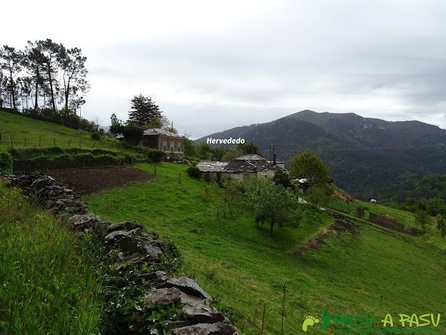 Ruta de los Castros: Hervededo