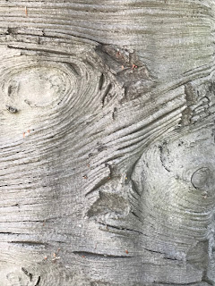 Looks like elephant hide!