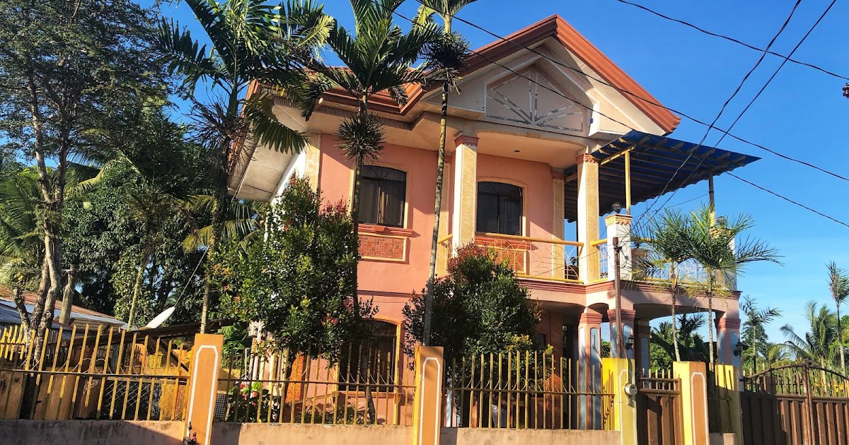 TAGUM CITY PROPERTIES FOR SALE TAGUM CITY HOUSE AND LOT FOR SALE APOKON