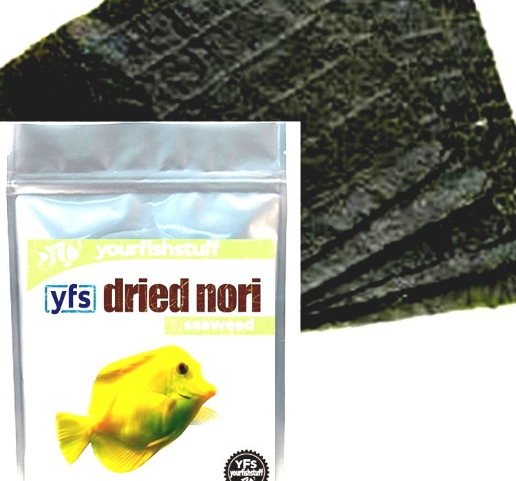 Nori Nori Fish Food