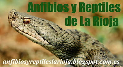 Anfibios y Reptiles de La Rioja