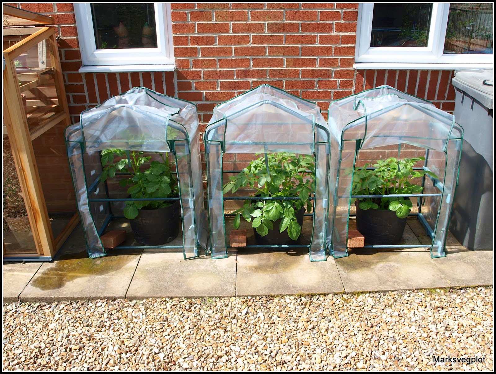 Mark's Veg Plot Frost protection