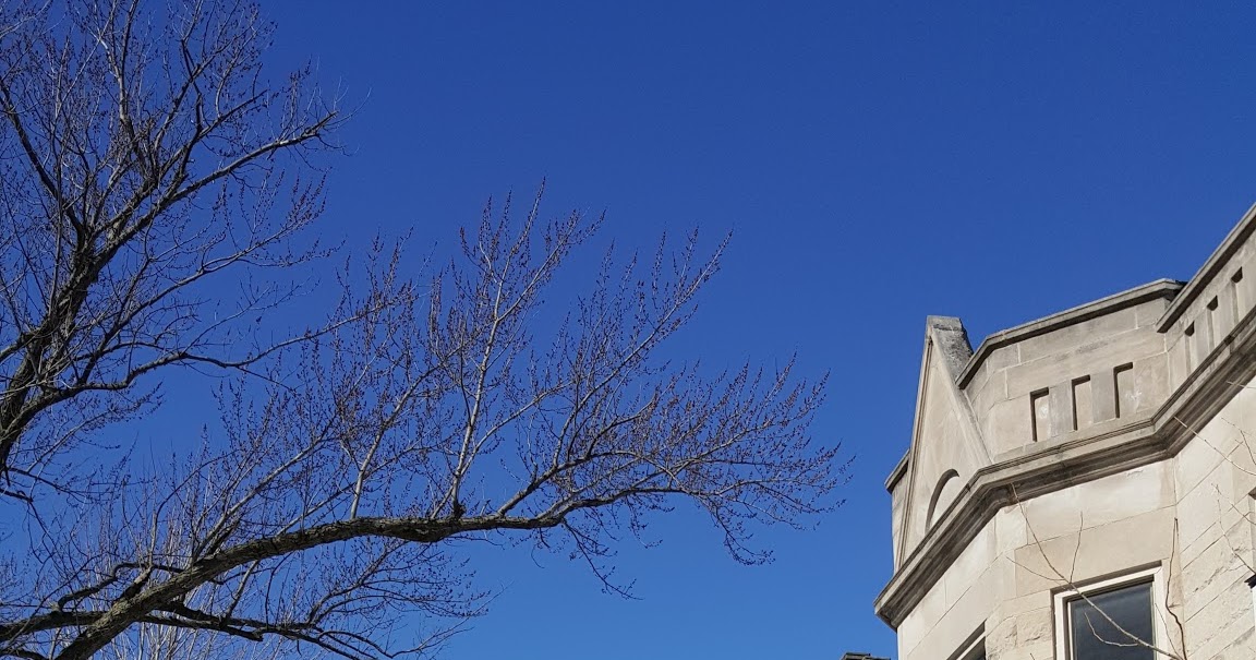 The Chicago Real Estate Local Lincoln Square twoflat unit sales up