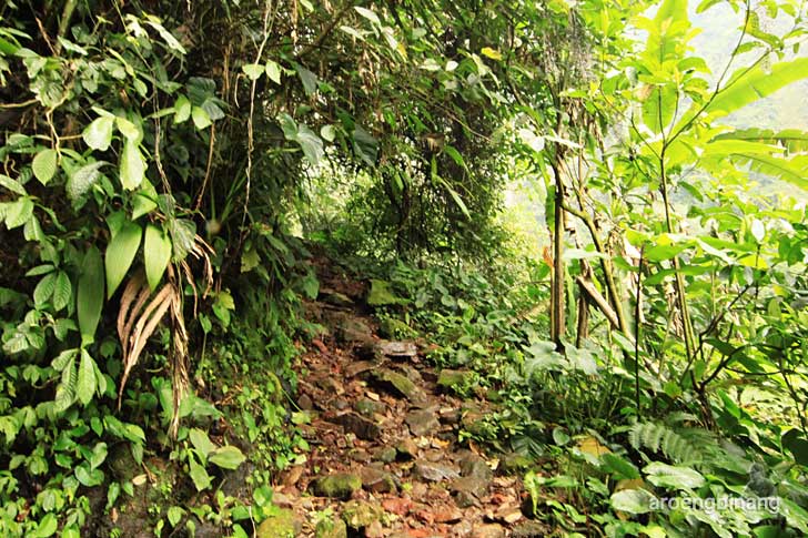 curug seribu bogor