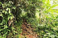 curug seribu bogor