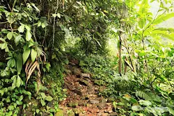 curug seribu bogor
