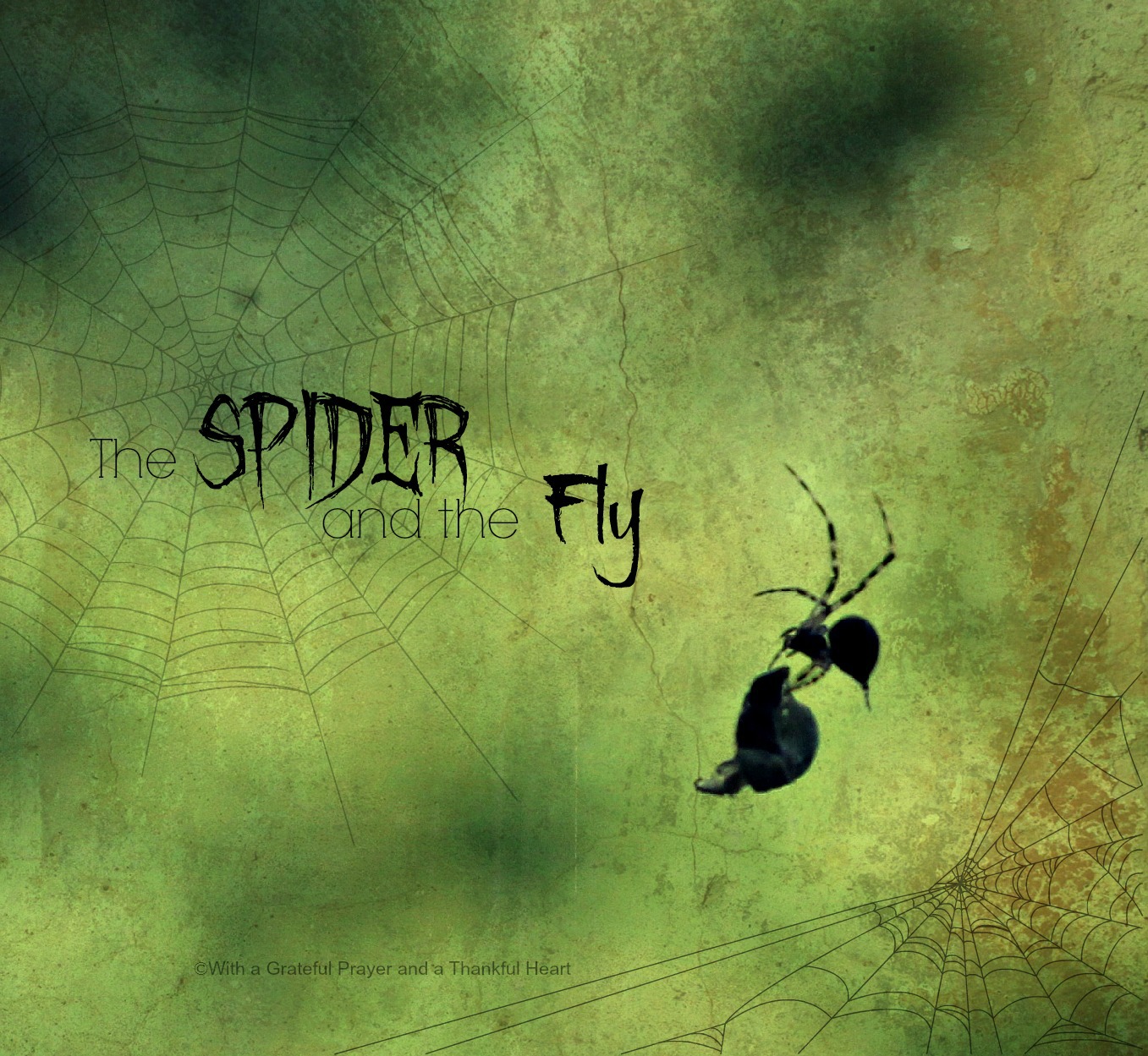 The Spider and the Fly Grateful Prayer Thankful Heart