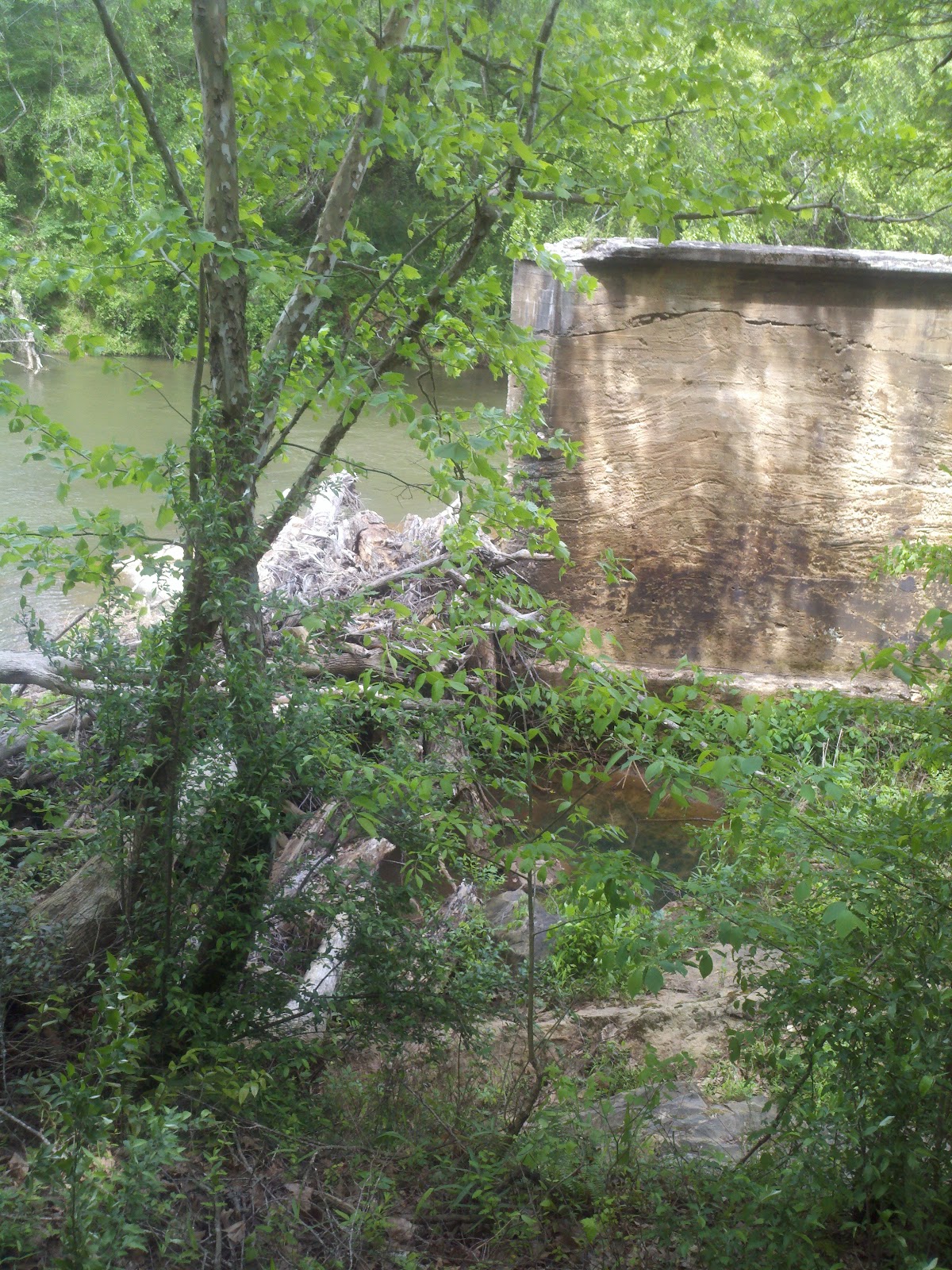 Matt Decker's Blog Hiking at the Pacolet River Preserve