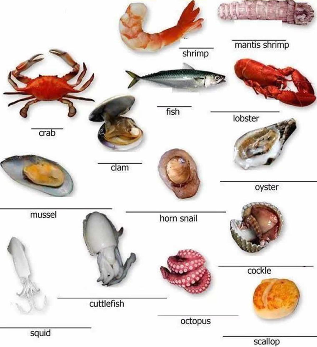 Seafood Chart