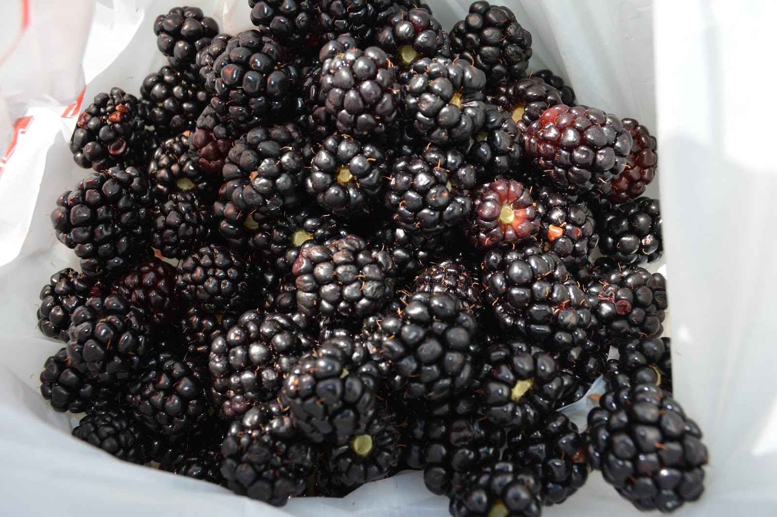 Glittered Whimsy aDiML Fresh Blackberry Syrup & Crunchy