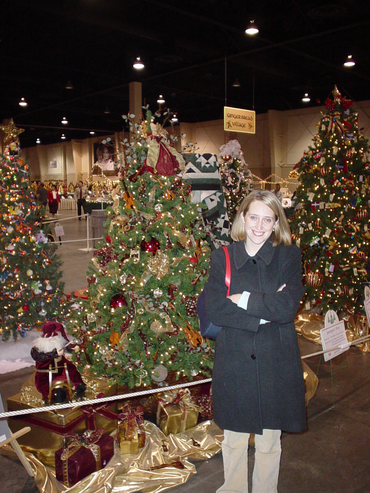 A Tribute To The Festival of Trees