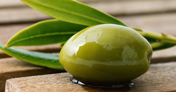 Seis beneficios sorprendentes de las hojas de olivo