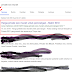 Inilah Tips Seo Terbaru 2019