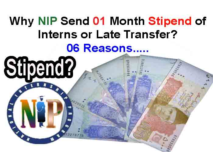 Why NIP Send 01 Month Stipend of Interns or Late Disbursement 06 Reasons