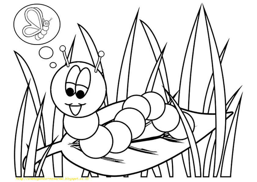 gambar mewarnai tema serangga