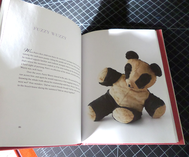 PikiThins Book Series 7 Threadbare Reminiscence