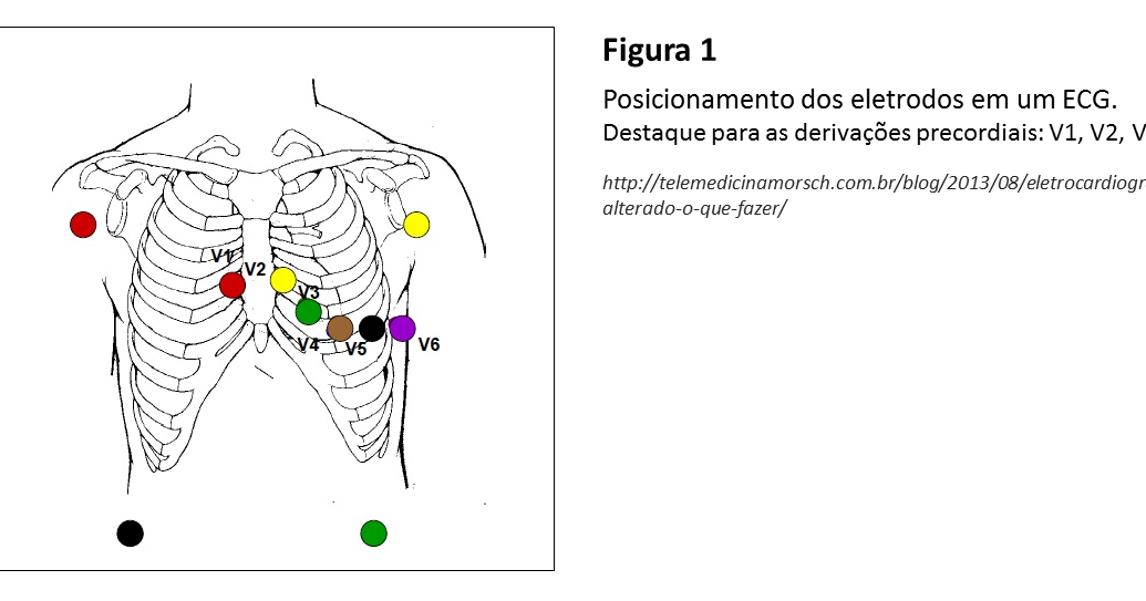LiTRE UFF O Eletrocardiograma Normal LiTRE UFF O Eletrocardiograma Normal