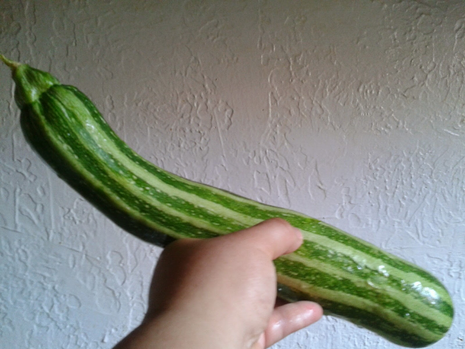 Recipe Hijacker Giant Zucchini it can be delicious, really