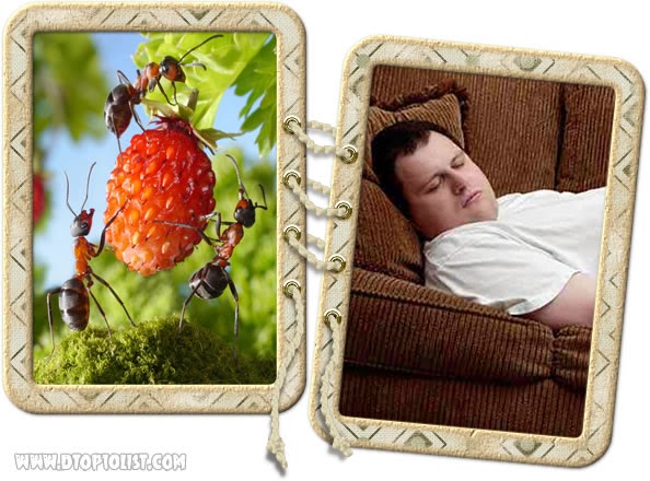 Weak ants but industrious VS a lazy human