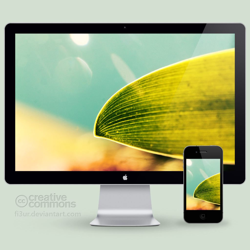 The Leaf Wallpaper | Windows10 Themes I Cleodesktop
