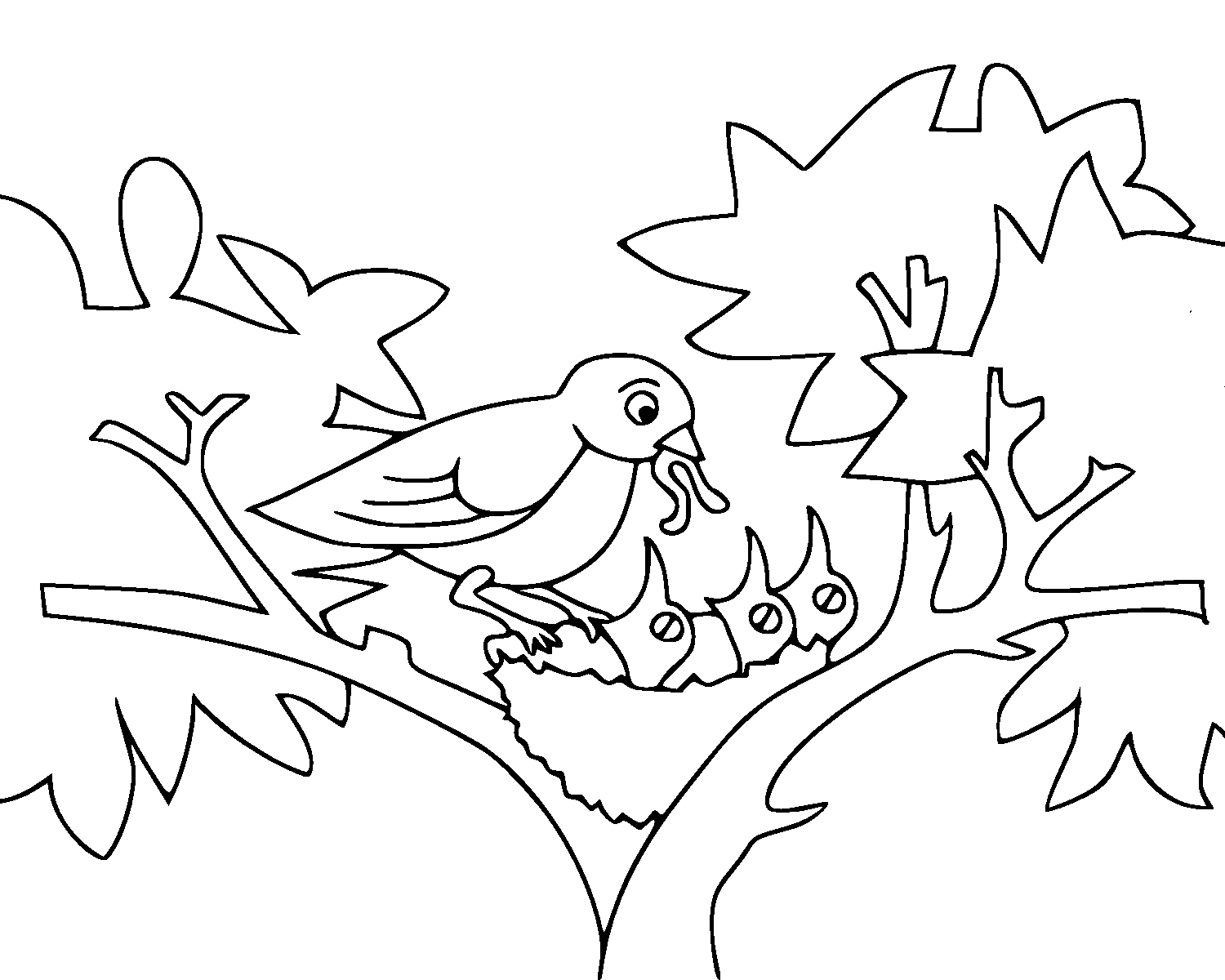 baby birds in a nest coloring pages - photo #2