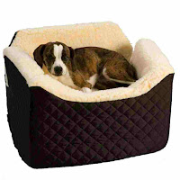 Snoozer Lookout Car Seat Snoozer Lookout Car Seat