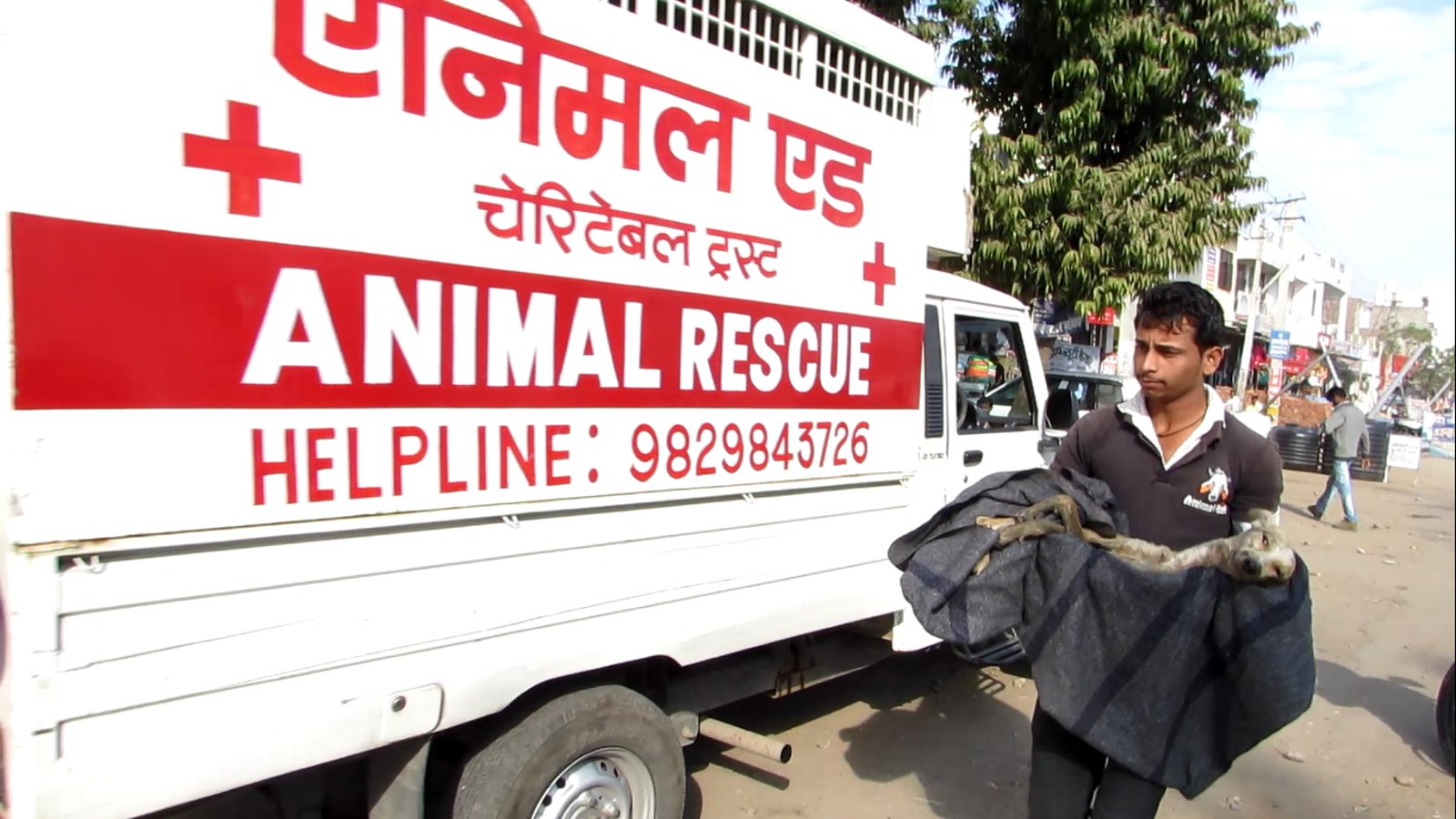 New Customer Care Number: Animal Aid Unlimited: Animal Care Center in  Udaipur, Rajasthan
