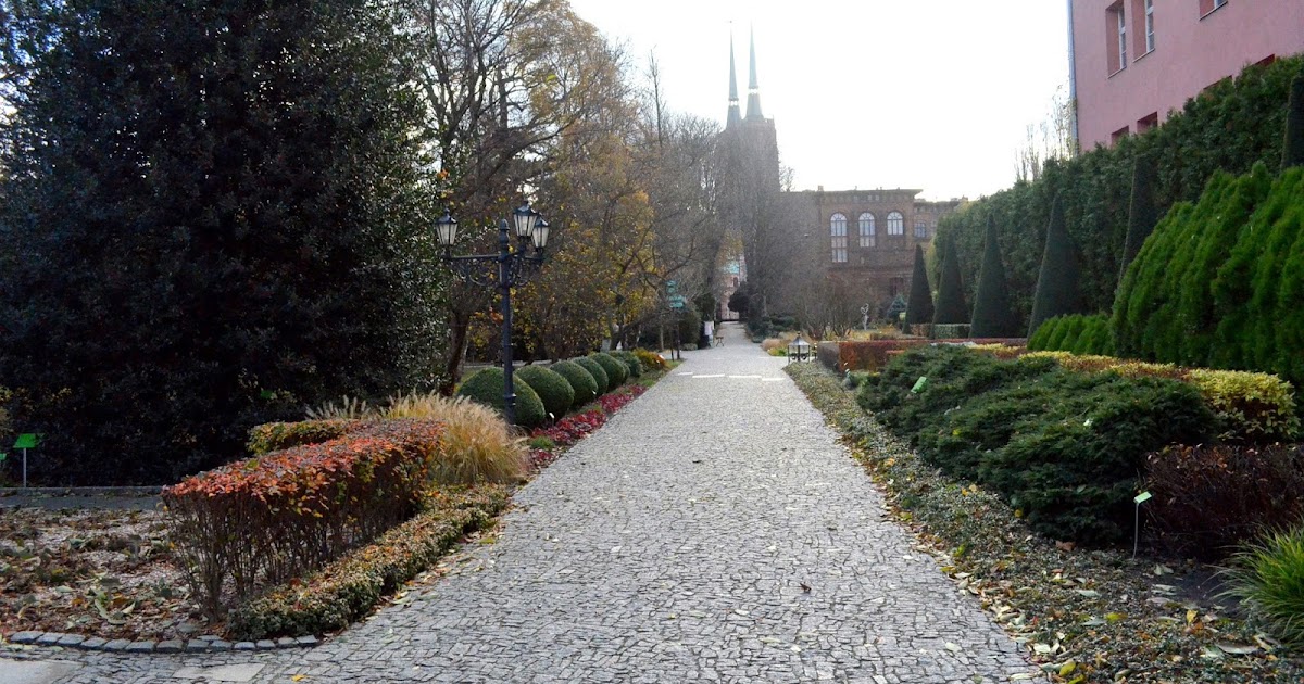 Ogród botaniczny we Wrocławiu/ Botanical Garden in Wroclaw