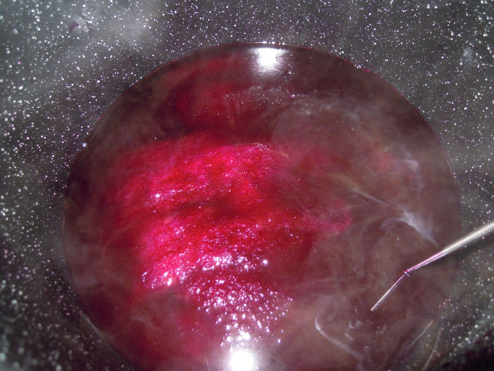 The Inconsequential Blogger Dyeing with cleavers root and pokeberries