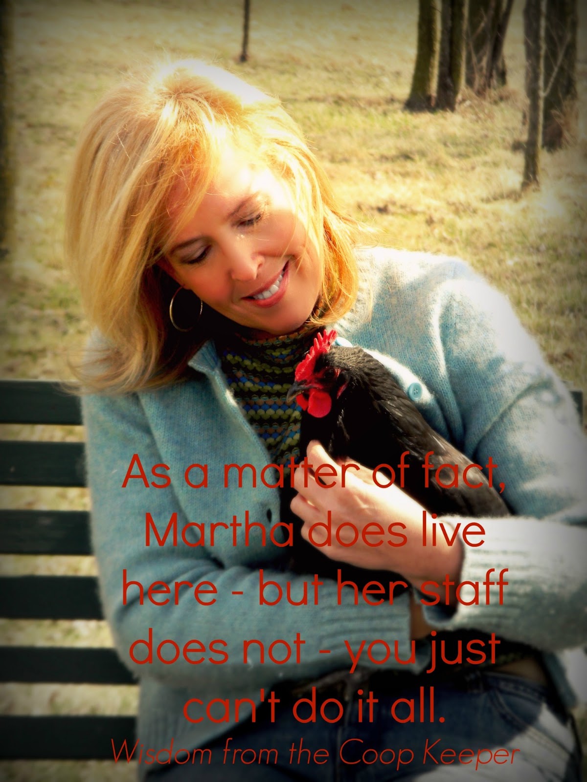 Tales from the Coop Keeper Words of Wisdom